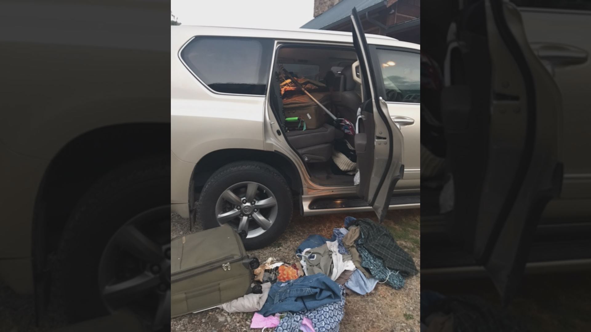 Woman wakes up to find 3 bears inside her car
